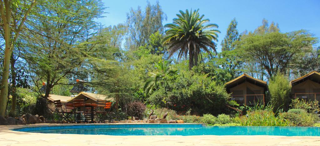 Hotel Wildebeest Eco Camp Nairobi Exteriér fotografie